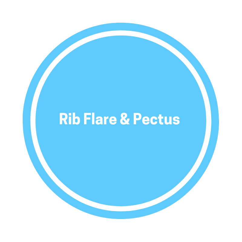Rib Flare & Pectus